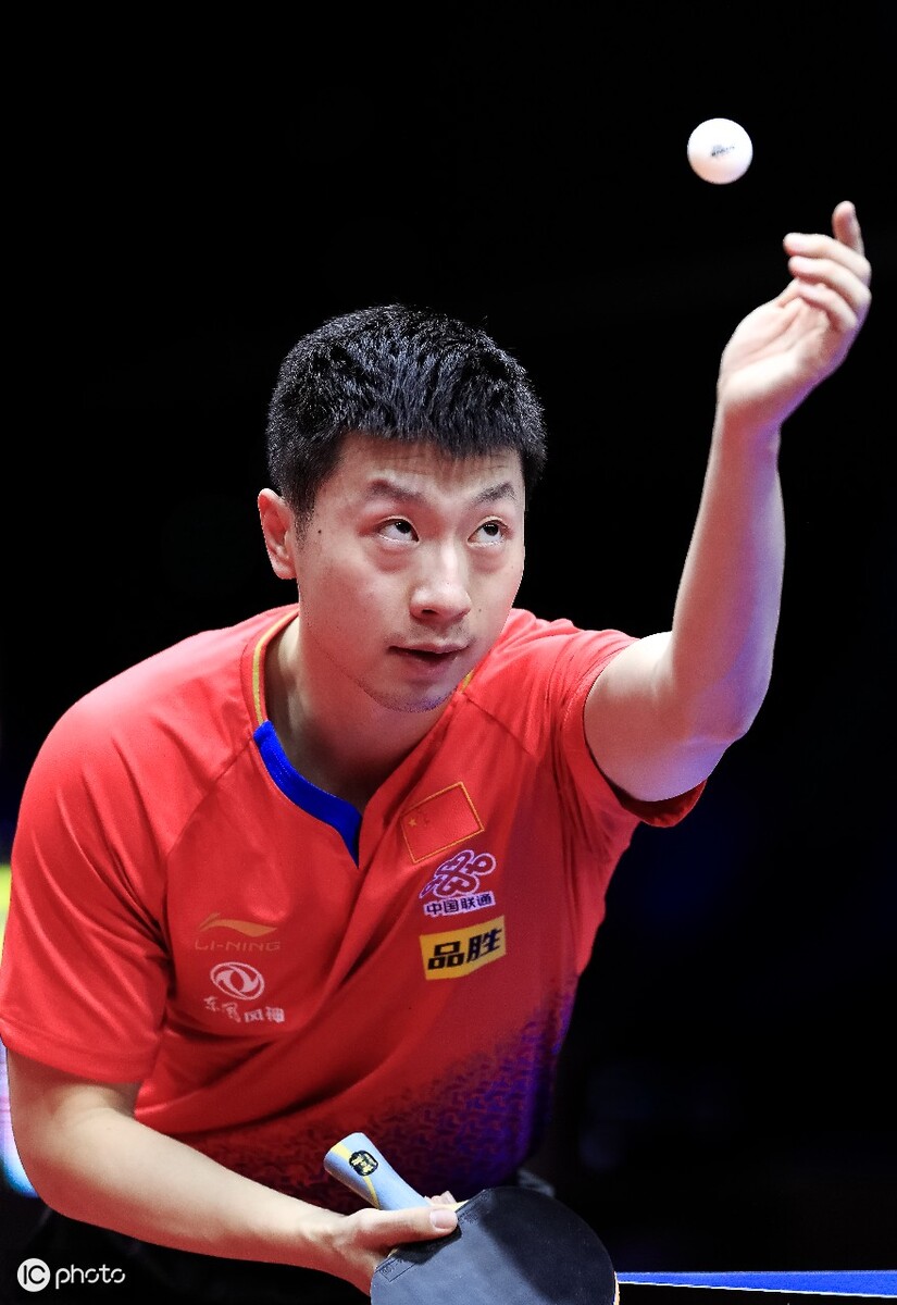 对于森林来 对于森林来